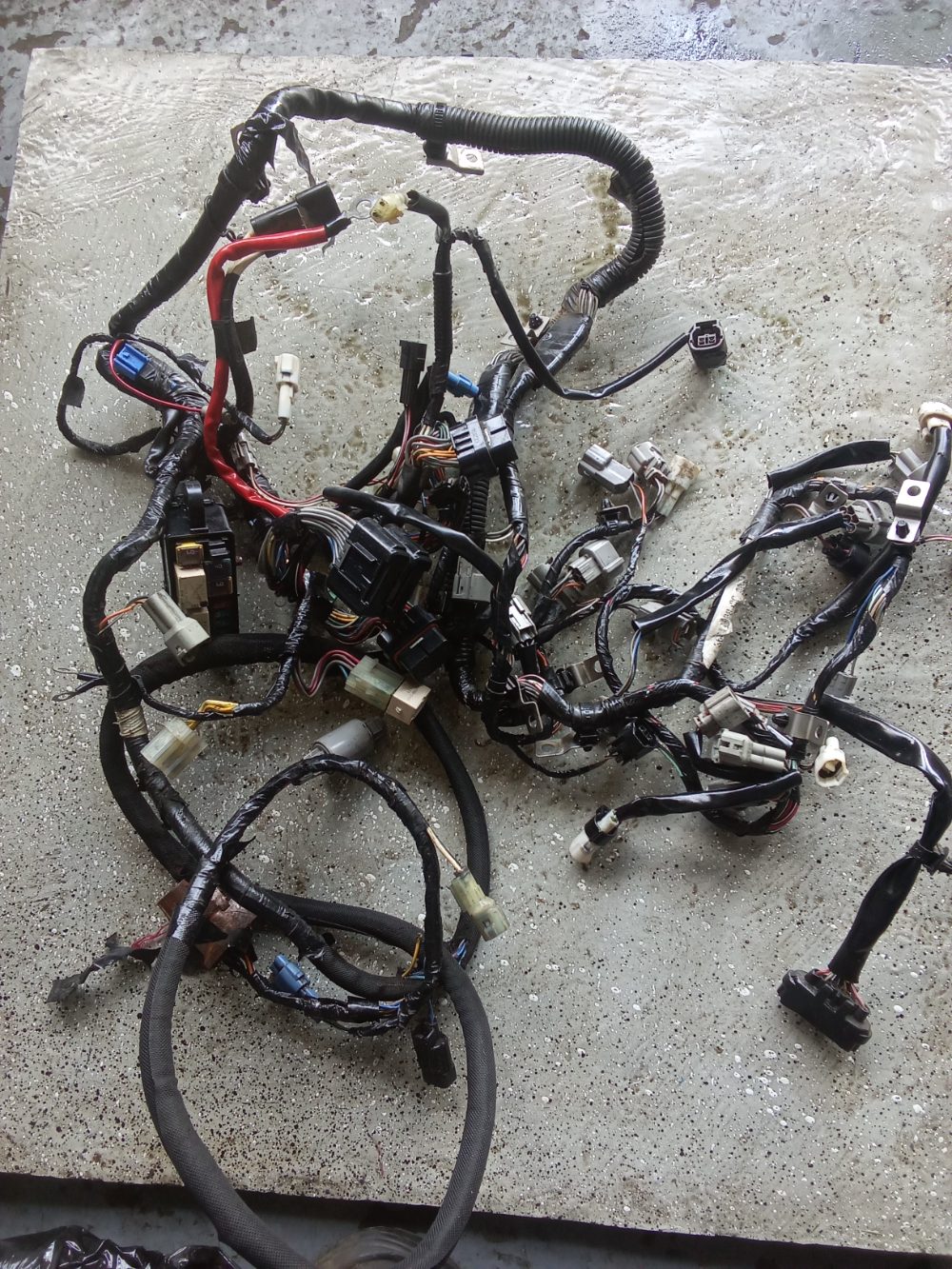 Arnés de cableado de motor fuera de borda