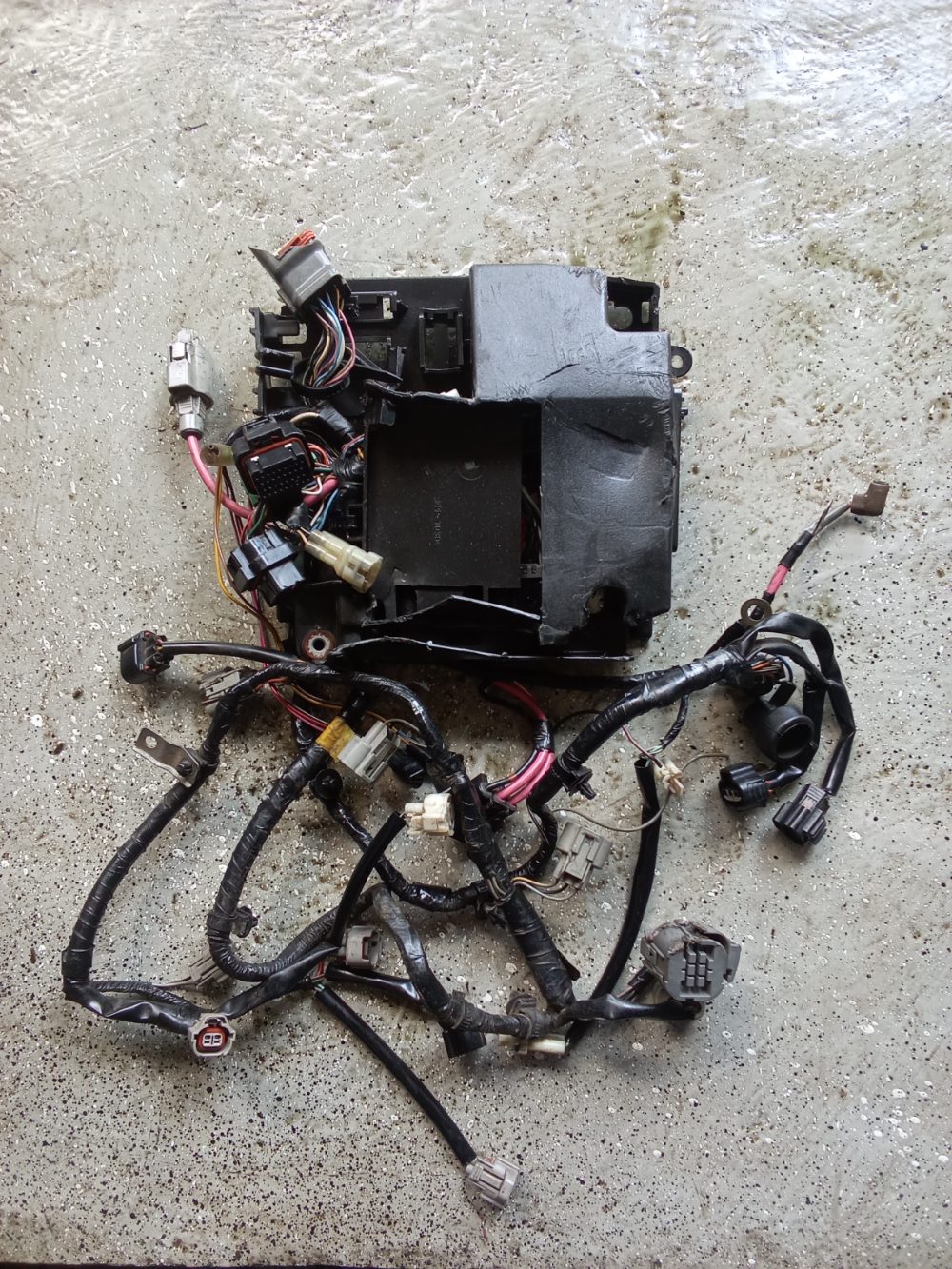 Arnés de cableado con caja de conectores/fusibles para motor fuera de borda
