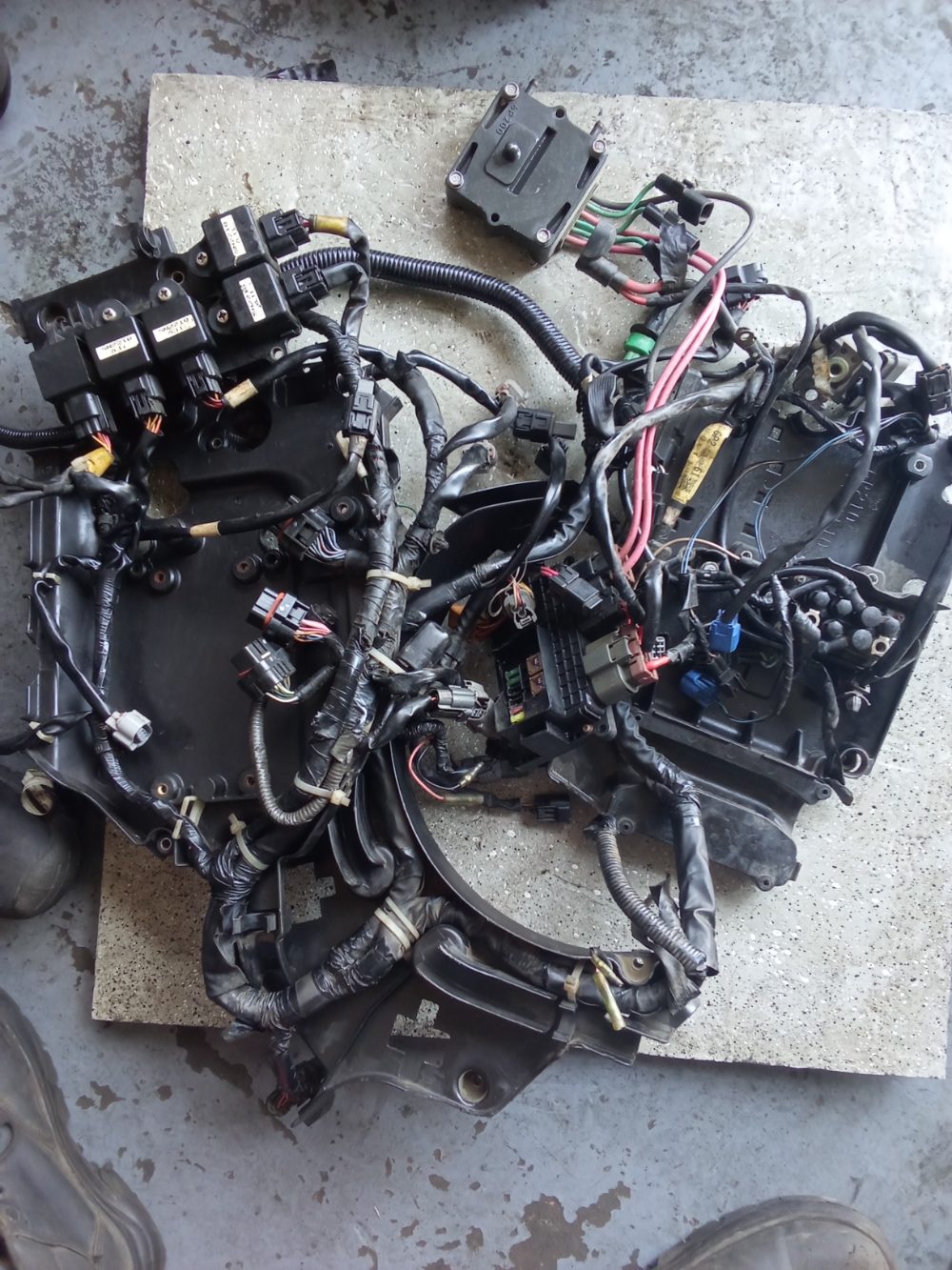 Arnés de cableado con bobinas y módulos para motor fuera de borda