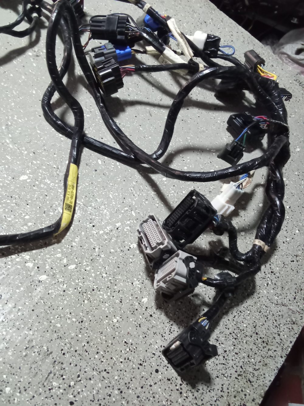 Arnés doble sin BCM modelo G — foto 2