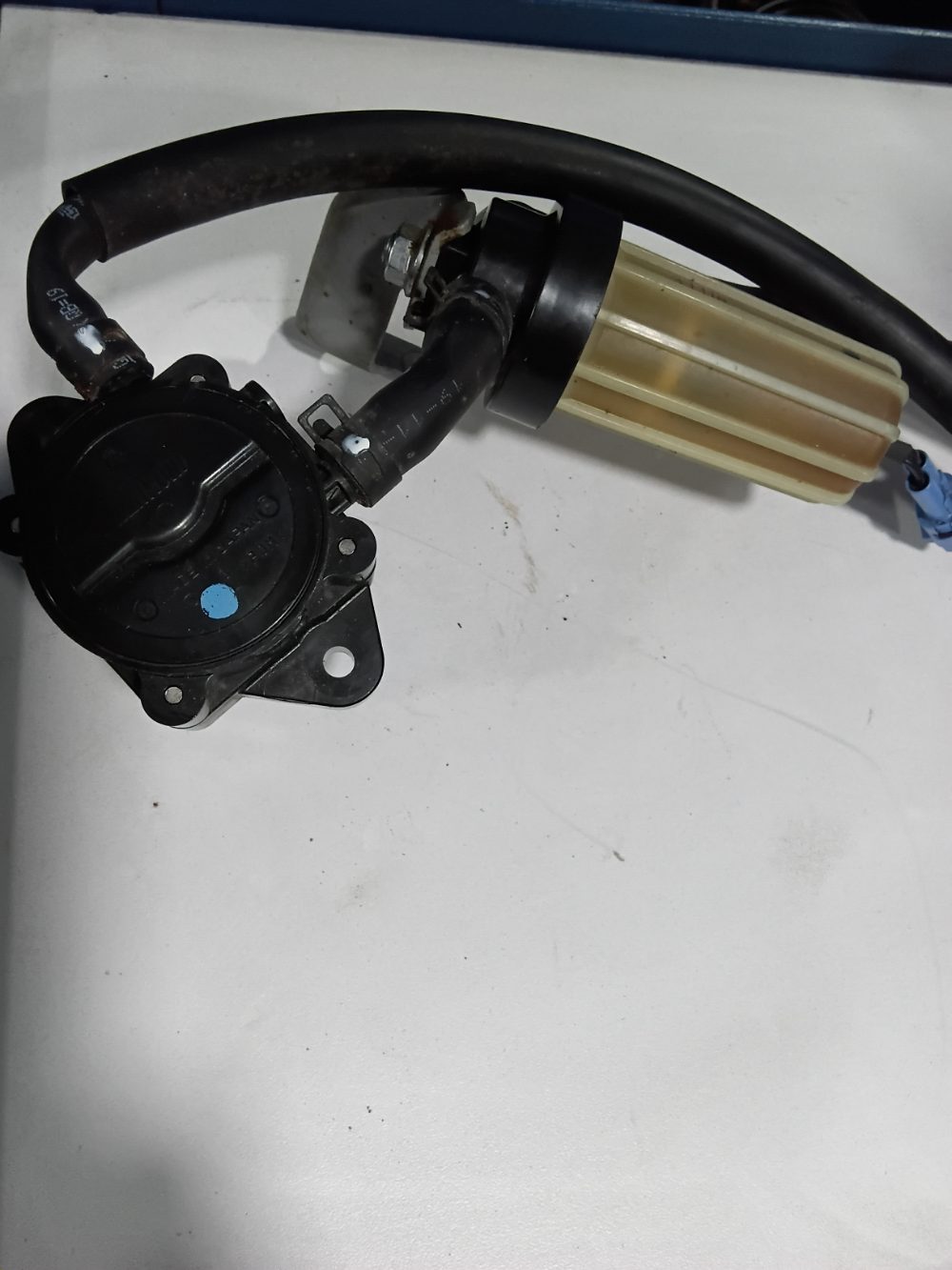 Bomba de combustible de baja con filtro y mangueras suzuki 115HP